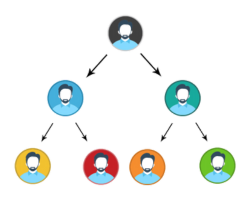 
Structure of Binary MLM Plan