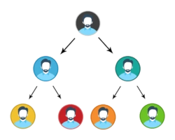 
Structure of Binary MLM Plan